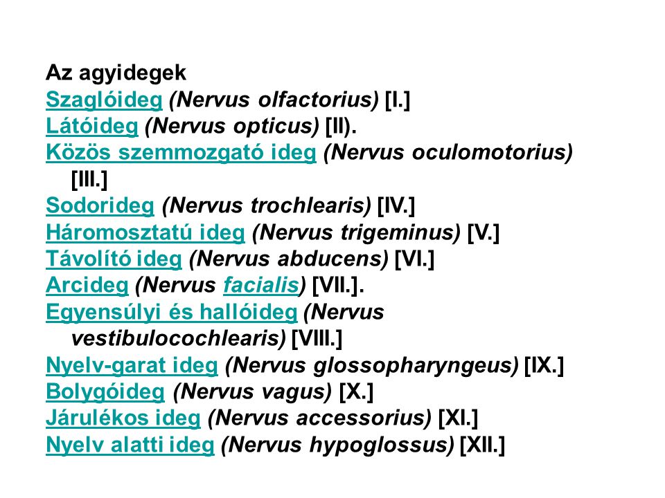 Az agyidegek Szaglóideg (Nervus olfactorius) [I.] Látóideg (Nervus opticus) [II). Közös szemmozgató ideg (Nervus oculomotorius) [III.]
