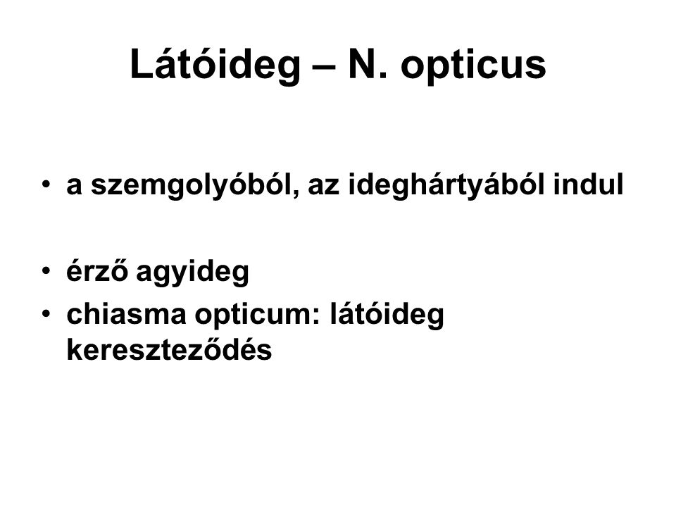 Látóideg – N. opticus a szemgolyóból, az ideghártyából indul