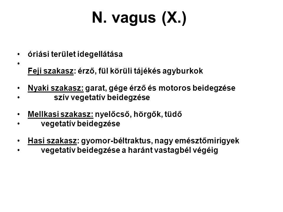 N. vagus (X.) óriási terület idegellátása