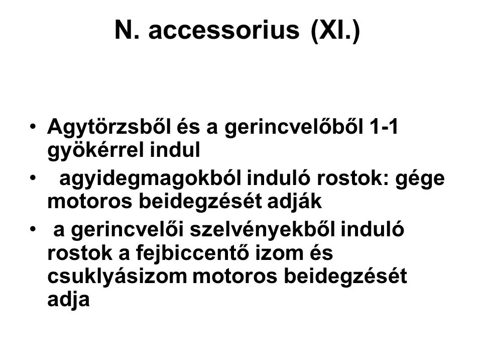 N. accessorius (XI.) Agytörzsből és a gerincvelőből 1-1 gyökérrel indul. agyidegmagokból induló rostok: gége motoros beidegzését adják.