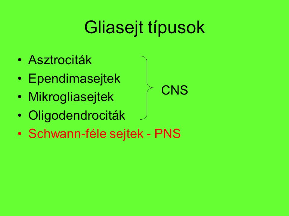 Gliasejt típusok Asztrociták Ependimasejtek Mikrogliasejtek