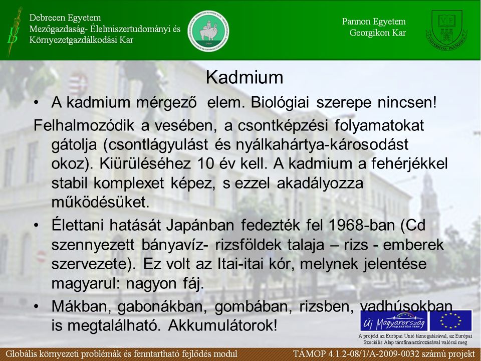 Kadmium A kadmium mérgező elem. Biológiai szerepe nincsen!
