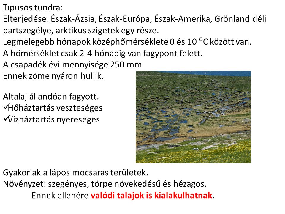 Típusos tundra: Elterjedése: Észak-Ázsia, Észak-Európa, Észak-Amerika, Grönland déli partszegélye, arktikus szigetek egy része.