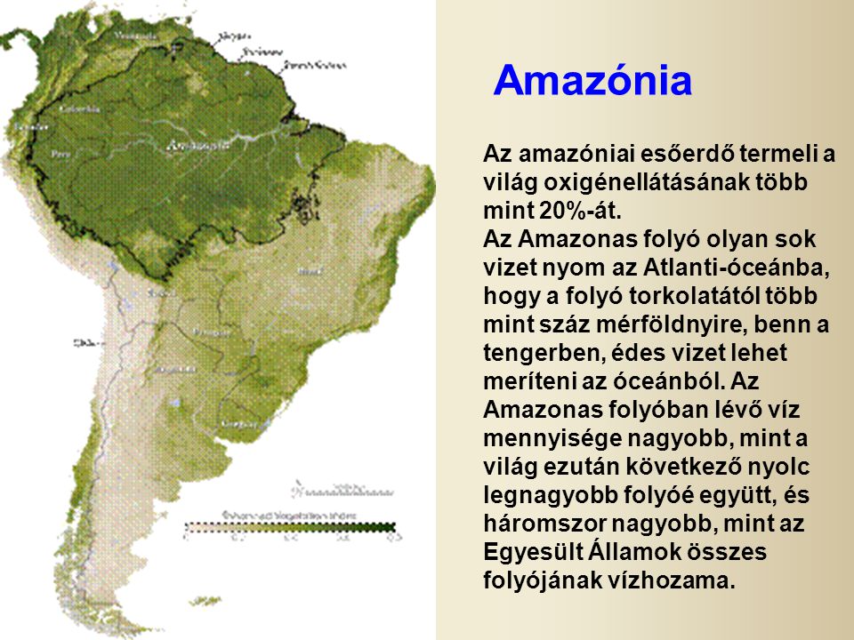 Amazónia Az amazóniai esőerdő termeli a világ oxigénellátásának több mint 20%-át.