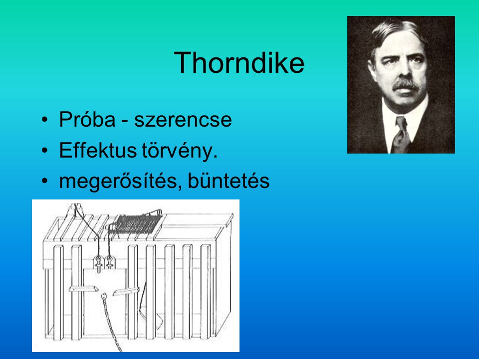 Thorndike Próba - szerencse Effektus törvény. megerősítés, büntetés