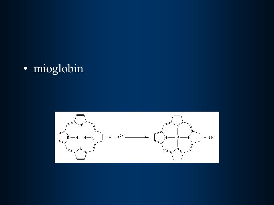 mioglobin