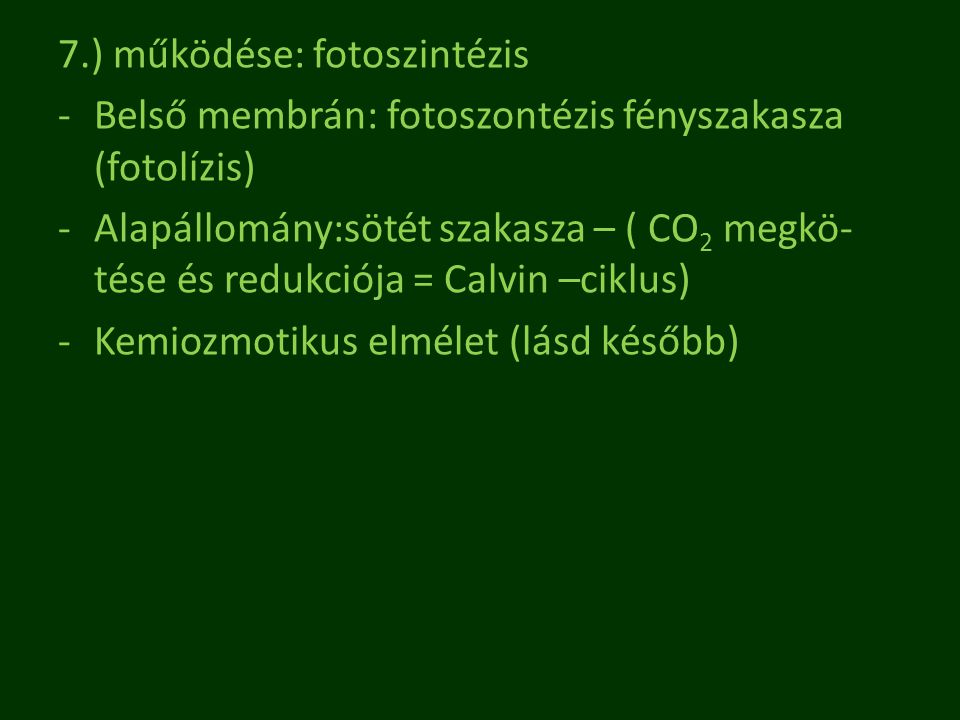 7.) működése: fotoszintézis
