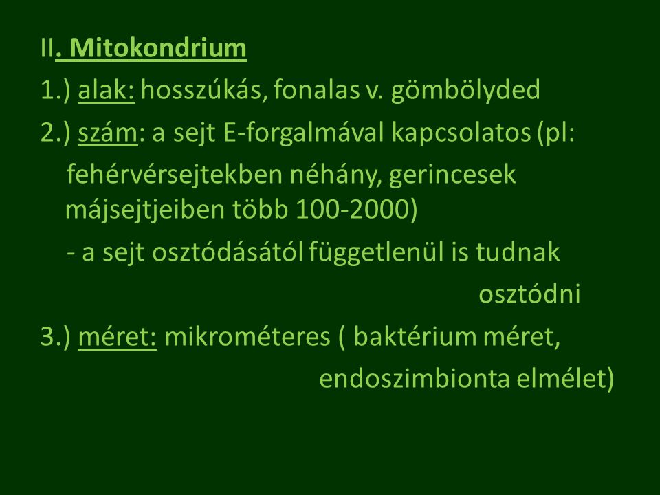 II. Mitokondrium 1. ) alak: hosszúkás, fonalas v. gömbölyded 2