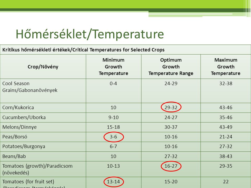 Hőmérséklet/Temperature