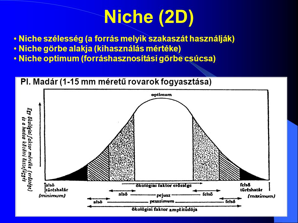 Niche (2D) Niche szélesség (a forrás melyik szakaszát használják)