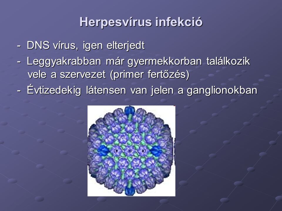 Herpesvírus infekció - DNS vírus, igen elterjedt
