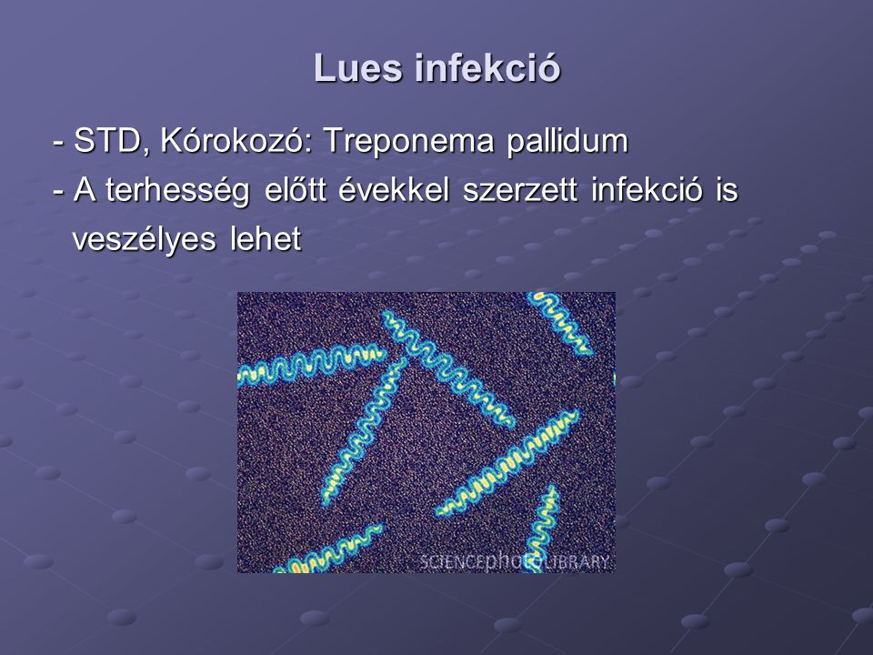 Lues infekció - STD, Kórokozó: Treponema pallidum