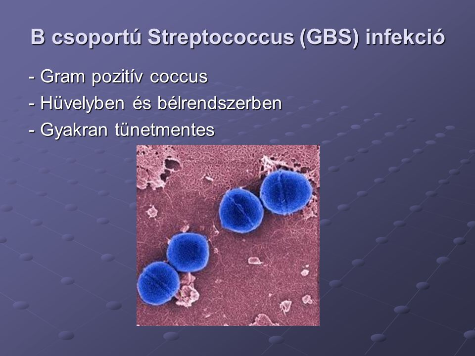 B csoportú Streptococcus (GBS) infekció
