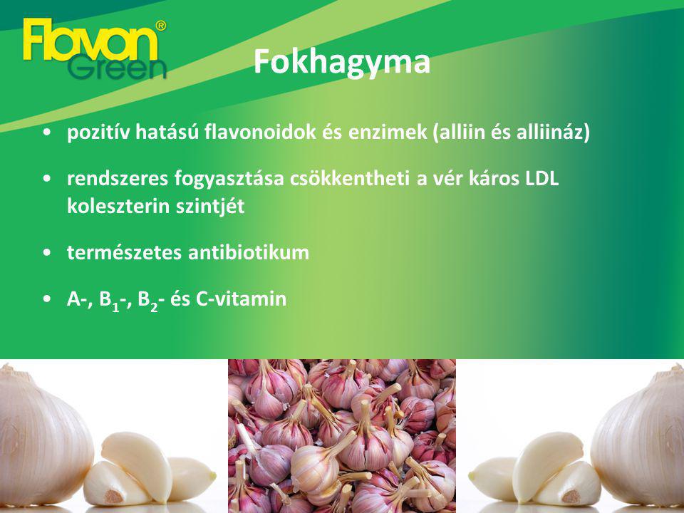 Fokhagyma pozitív hatású flavonoidok és enzimek (alliin és alliináz)