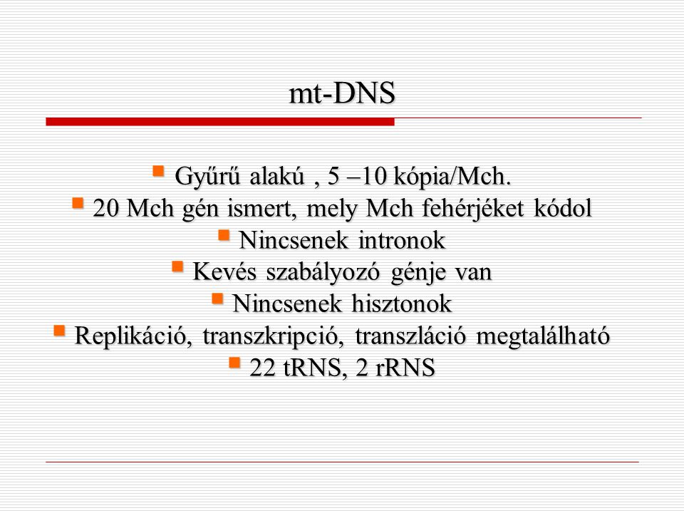 mt-DNS Gyűrű alakú , 5 –10 kópia/Mch.