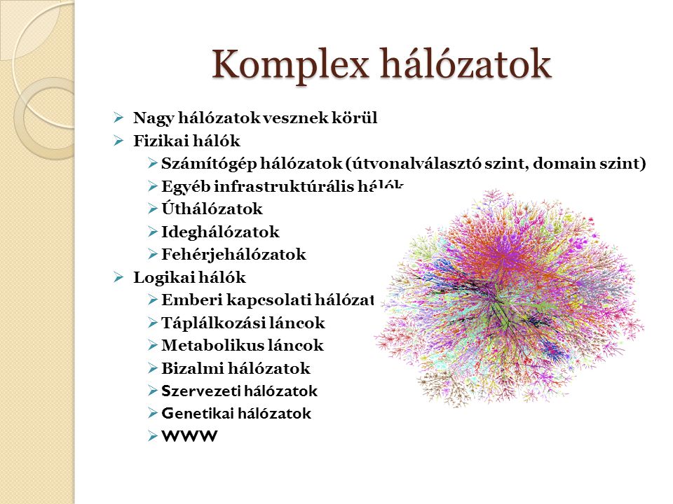Komplex hálózatok Nagy hálózatok vesznek körül Fizikai hálók