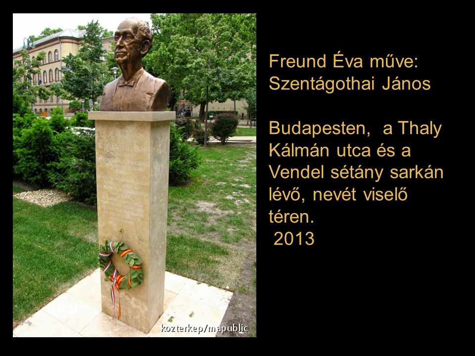 Freund Éva műve: Szentágothai János. Budapesten, a Thaly Kálmán utca és a Vendel sétány sarkán lévő, nevét viselő téren.