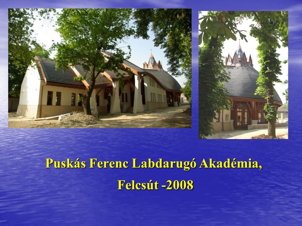 Puskás Ferenc Labdarugó Akadémia, Felcsút -2008