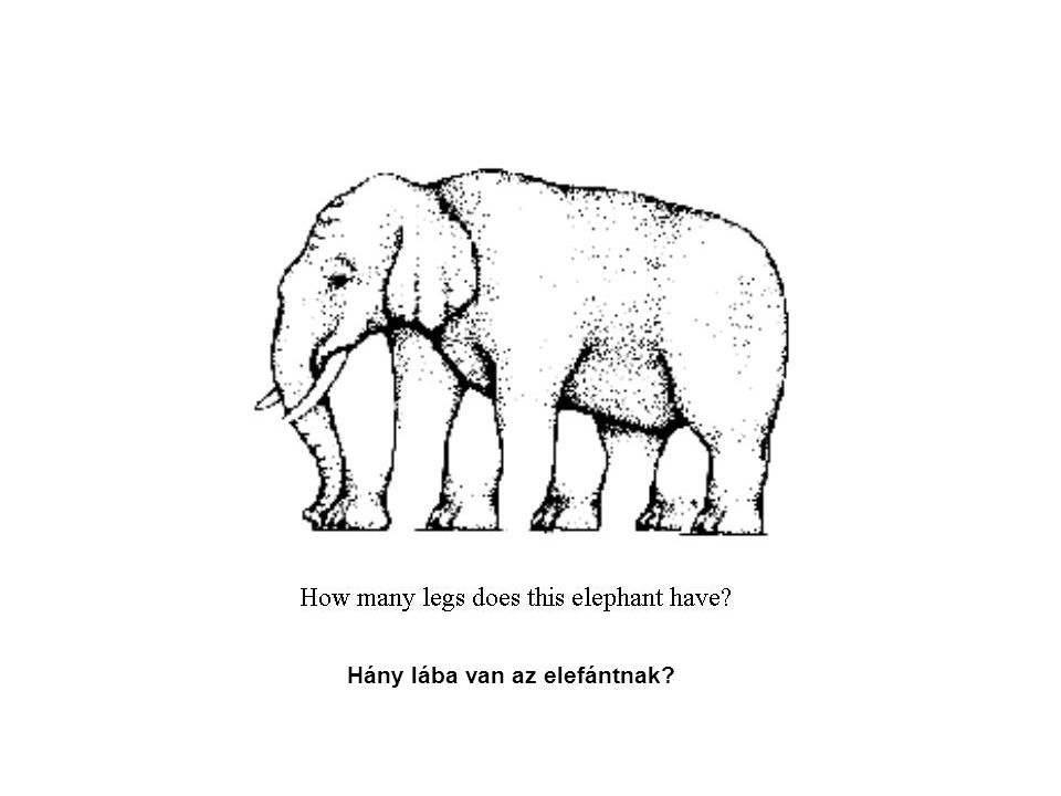 Hány lába van az elefántnak