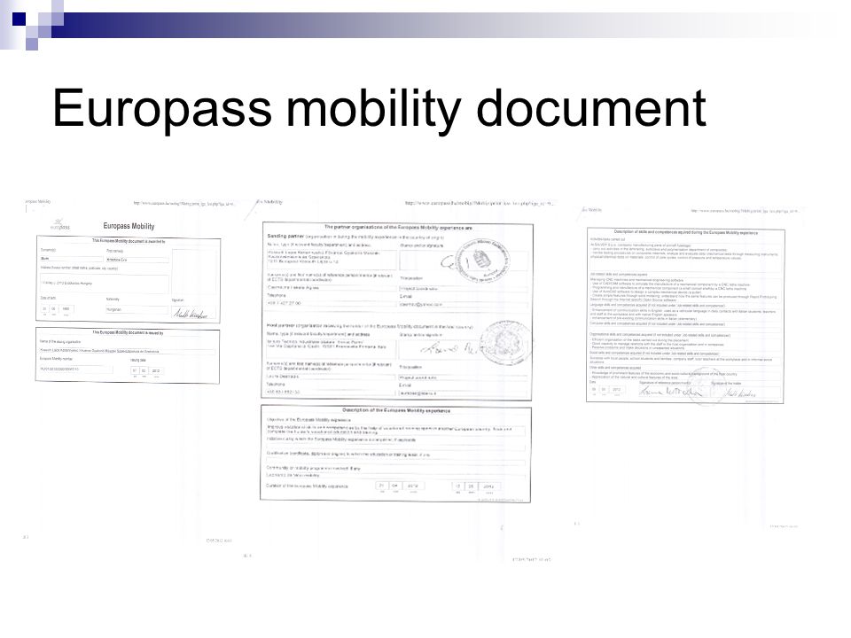 Europass mobility document