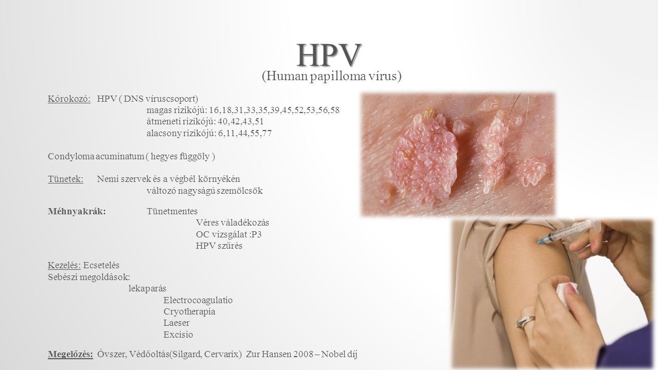 HPV (Human papilloma vírus) Kórokozó: HPV ( DNS víruscsoport)