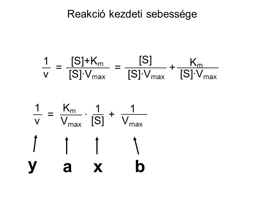 y a x b Reakció kezdeti sebessége = [S]+Km [S]·Vmax [S] Km + v 1 v 1