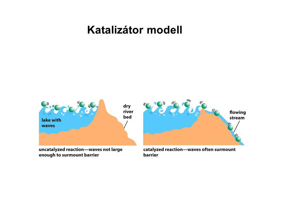 Katalizátor modell