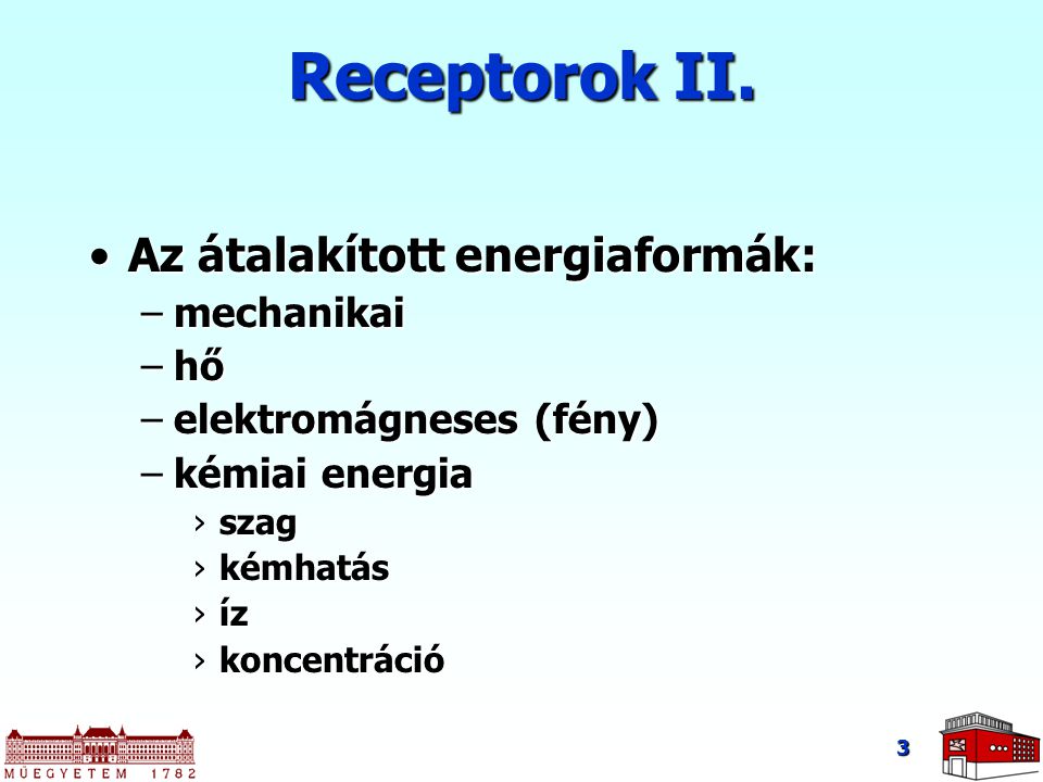Receptorok II. Az átalakított energiaformák: mechanikai hő