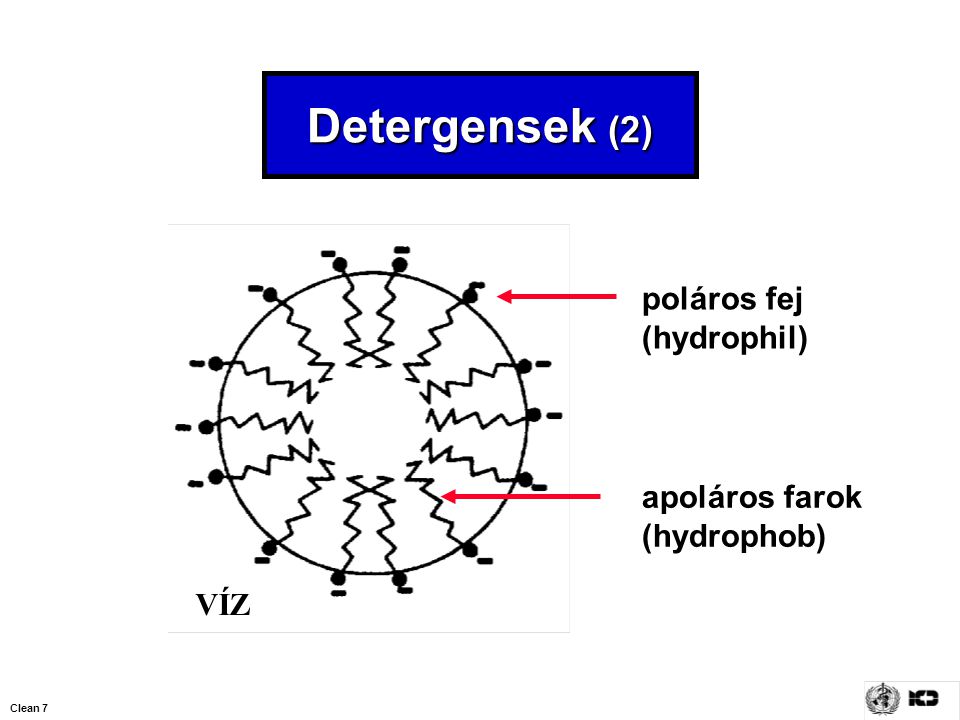 Detergensek (2) poláros fej (hydrophil) apoláros farok (hydrophob) VÍZ