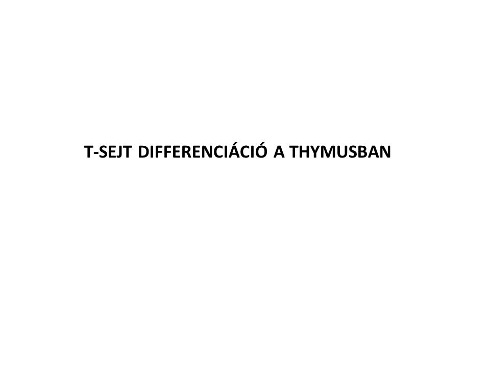 T-SEJT DIFFERENCIÁCIÓ A THYMUSBAN