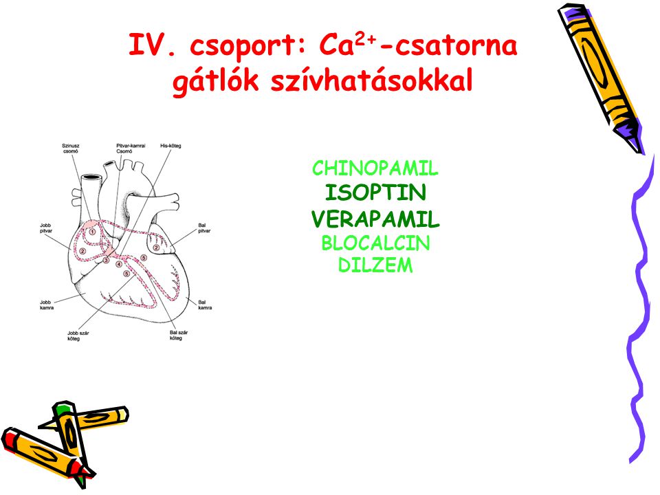IV. csoport: Ca2+-csatorna gátlók szívhatásokkal