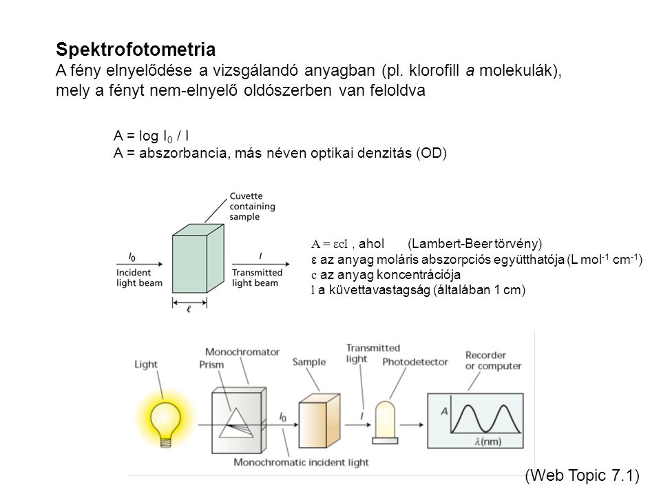 Spektrofotometria A fény elnyelődése a vizsgálandó anyagban (pl. klorofill a molekulák), mely a fényt nem-elnyelő oldószerben van feloldva.