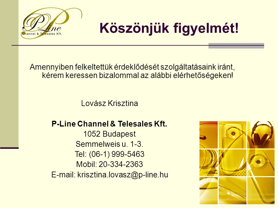 P-Line Channel & Telesales Kft.