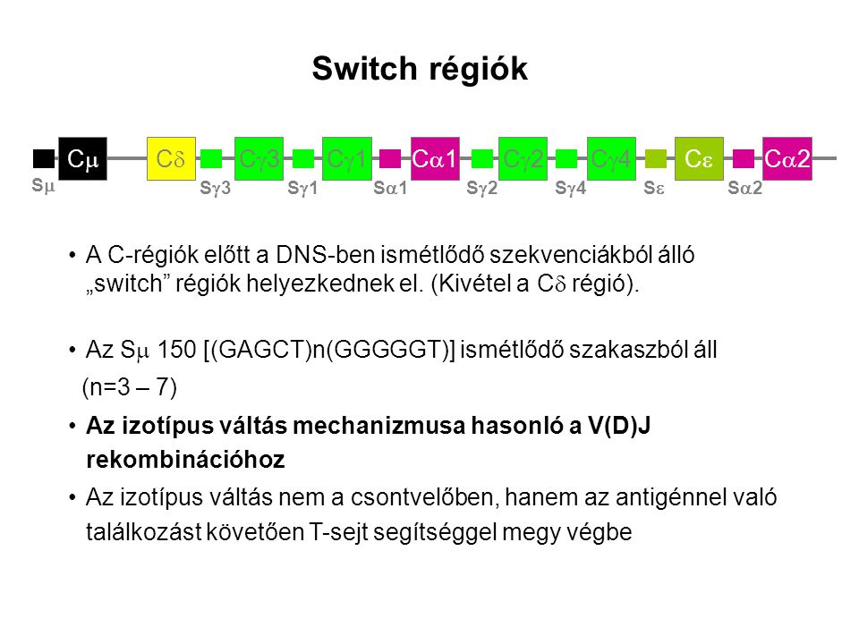 Switch régiók Ca2 Ce Cg4 Cg2 Ca1 Cg1 Cg3 Cd Cm