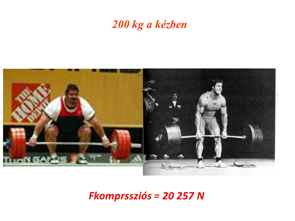 200 kg a kézben Fkomprssziós = N
