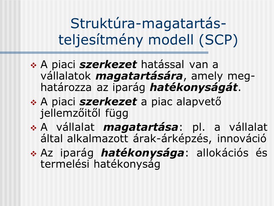 Struktúra-magatartás- teljesítmény modell (SCP)