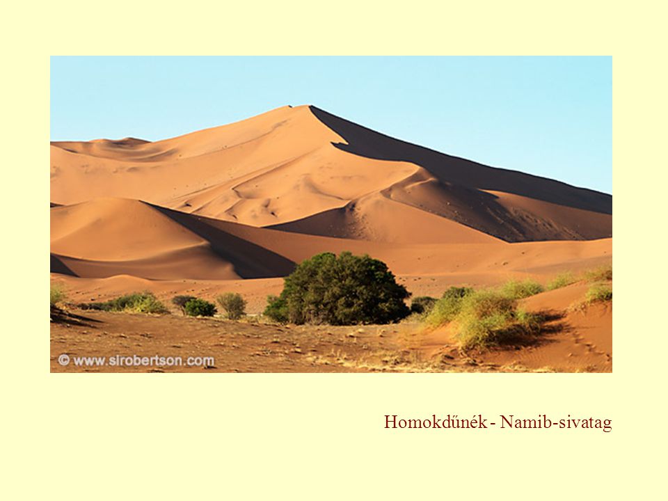 Homokdűnék - Namib-sivatag