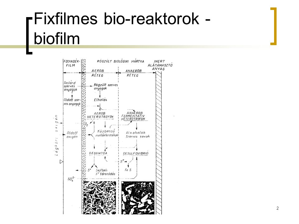 Fixfilmes bio-reaktorok - biofilm