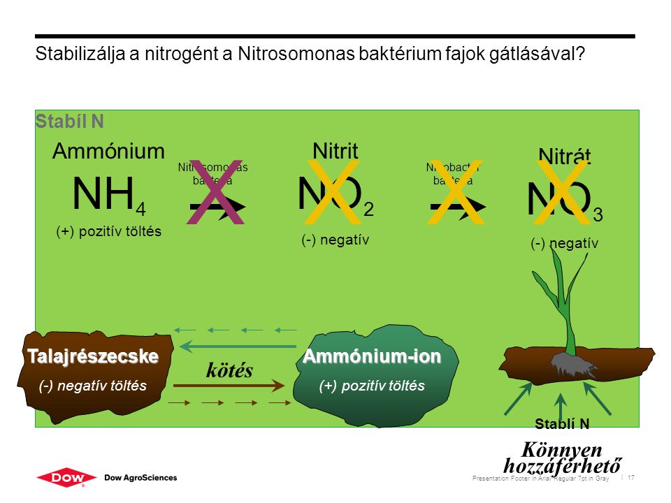 Stabilizálja a nitrogént a Nitrosomonas baktérium fajok gátlásával