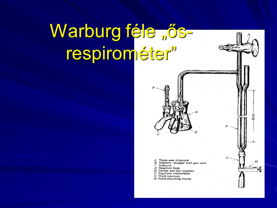 Warburg féle „ős-respirométer