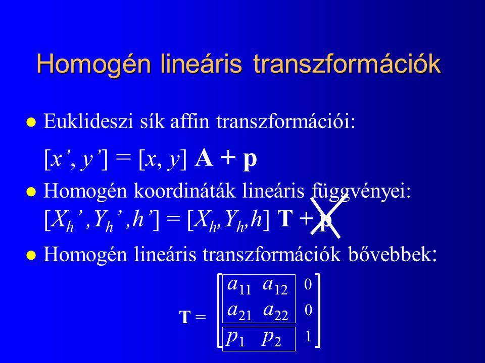Homogén lineáris transzformációk