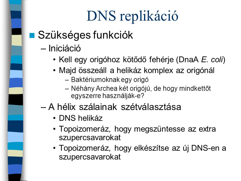 DNS replikáció Szükséges funkciók Iniciáció