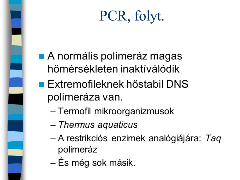 PCR, folyt. A normális polimeráz magas hőmérsékleten inaktíválódik