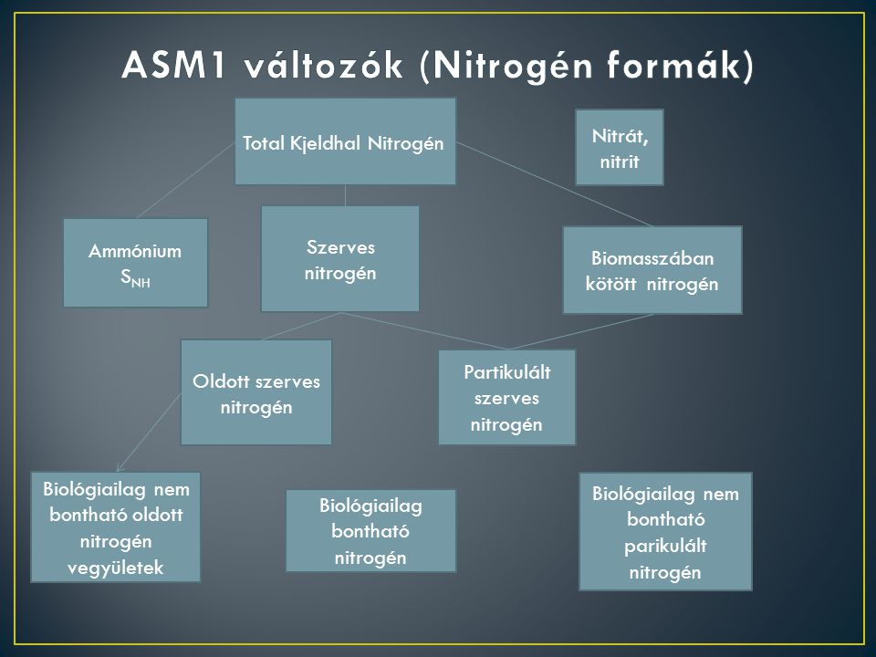 ASM1 változók (Nitrogén formák)