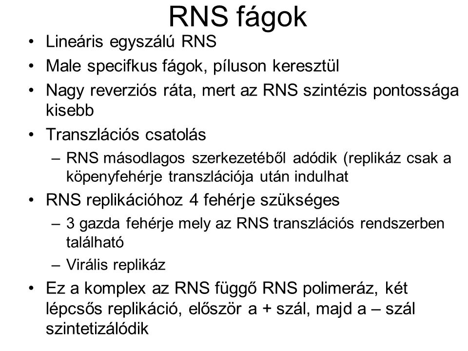 RNS fágok Lineáris egyszálú RNS