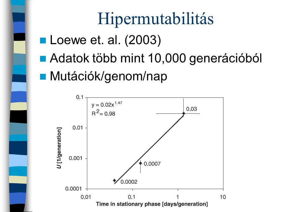 Hipermutabilitás Loewe et. al. (2003)