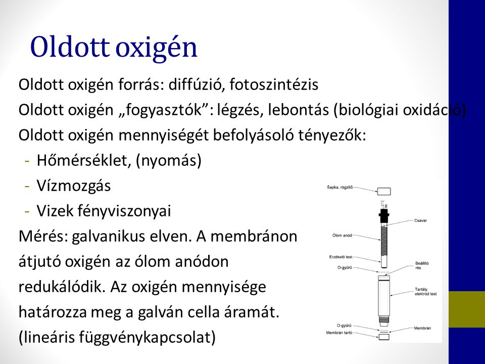 Oldott oxigén Oldott oxigén forrás: diffúzió, fotoszintézis