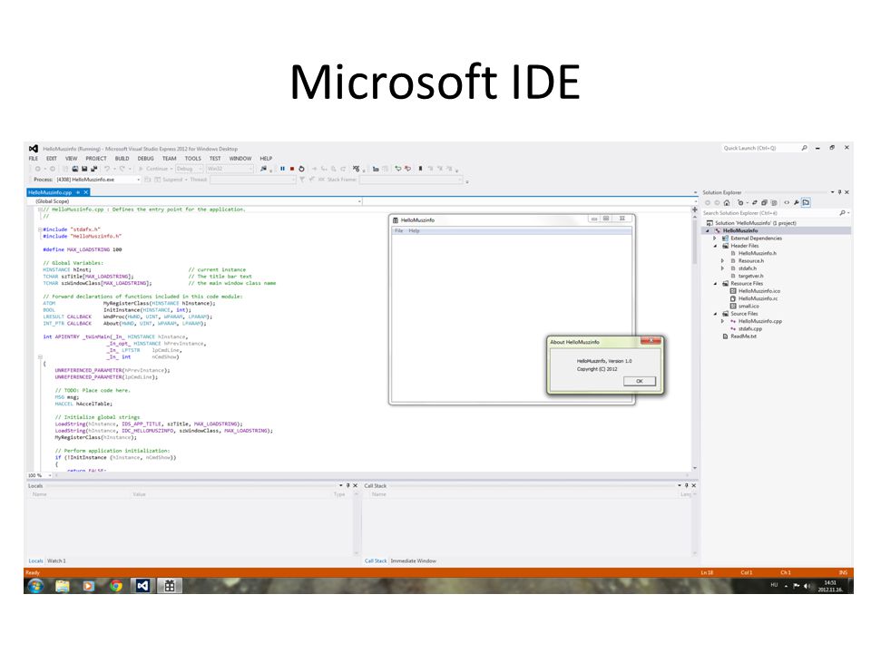Microsoft IDE
