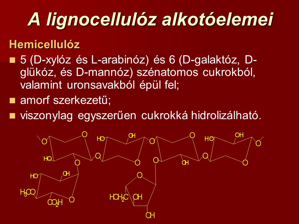 A lignocellulóz alkotóelemei
