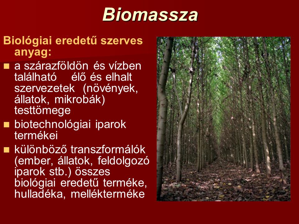 Biomassza Biológiai eredetű szerves anyag: